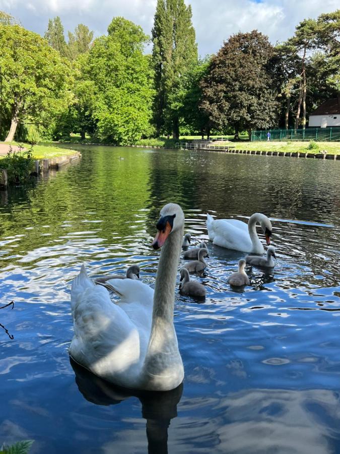 Beddington Park Lodge East วอลลิงตัน ภายนอก รูปภาพ