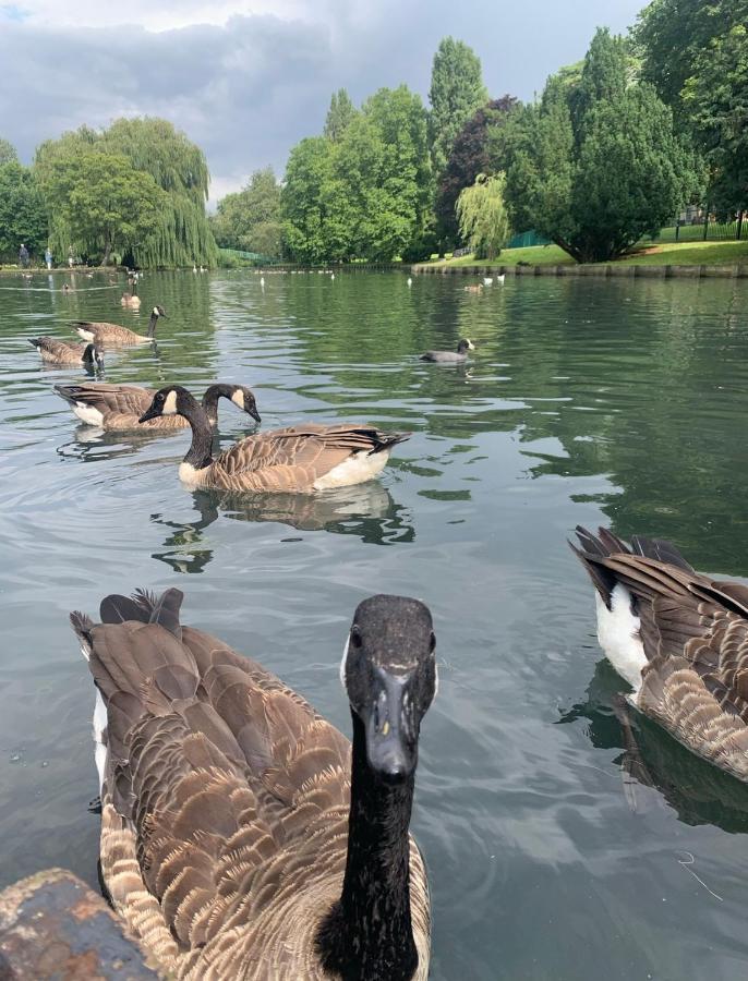 Beddington Park Lodge East วอลลิงตัน ภายนอก รูปภาพ
