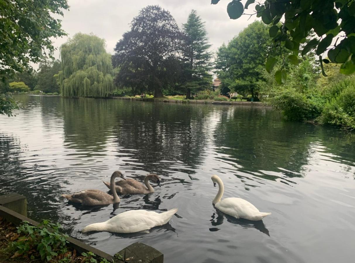 Beddington Park Lodge East วอลลิงตัน ภายนอก รูปภาพ