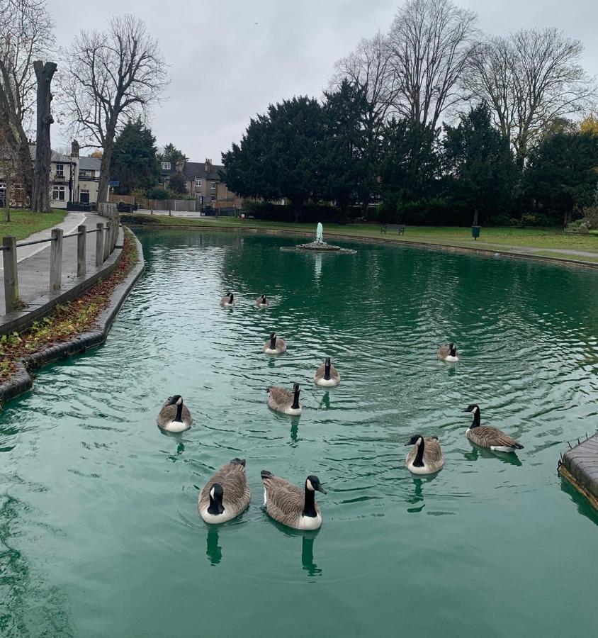 Beddington Park Lodge East วอลลิงตัน ภายนอก รูปภาพ